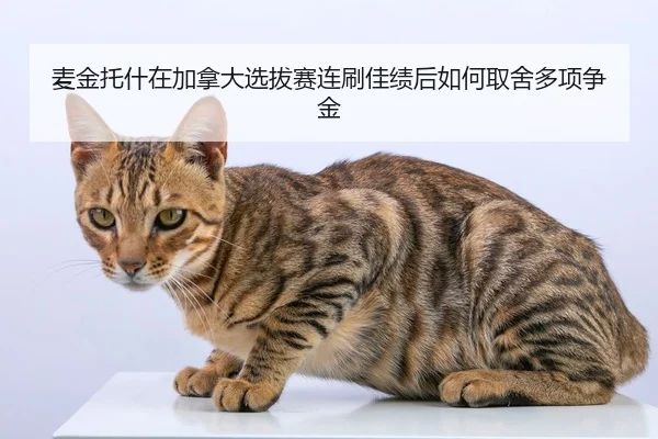 mai-jin-tuo-shen-zai-jia-na-da-xuan-ba-sai-lian-shua-jia-ji-hou-ru-he-qu-she-duo-xiang-zheng-jin-2-307.jpg