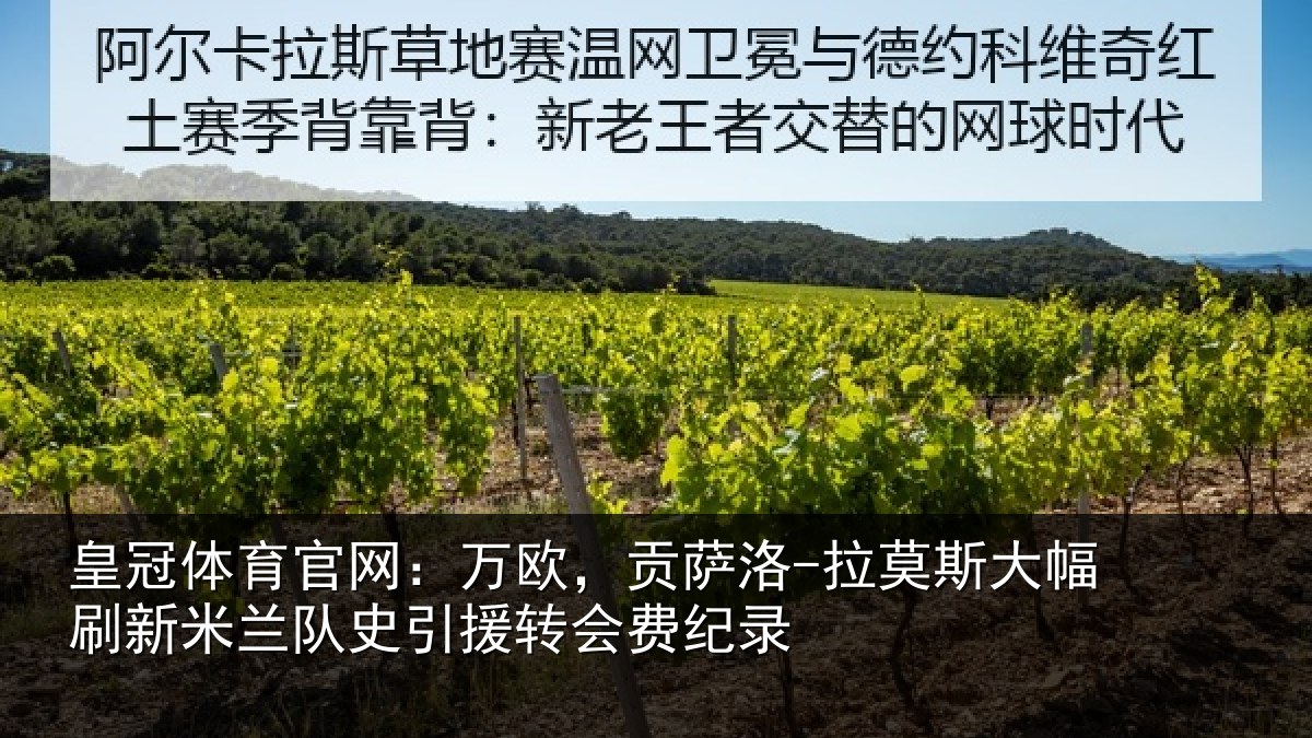 皇冠体育官网:万欧,贡萨洛-拉莫相关情况史引援转会费纪录